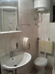Vonios kambarys apgyvendinimo įstaigoje Apartments "Villa Mungos" Sobra