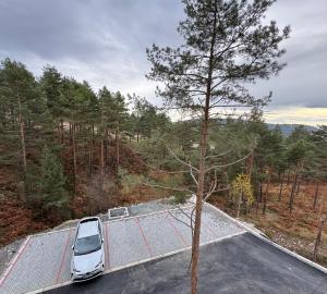 Kraštovaizdis prie apartamentų