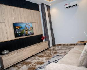 TV a/nebo společenská místnost v ubytování Nine A Apartment
