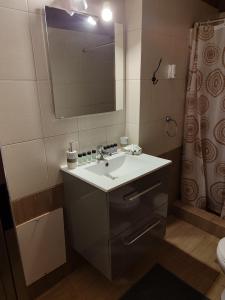a bathroom with a sink and a mirror and a shower at Thodoris Apartment's in Eptalofos