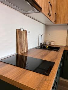 Una cocina con encimera con fregadero y estufa. en Apartman TARA, en Zlatibor