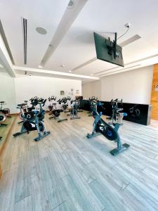 Fitness centrum a/nebo fitness zařízení v ubytování Skyline Suite in Polanco Best Location Fast Wifi