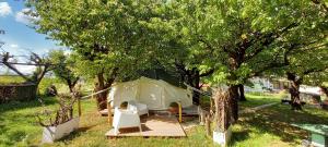Zahrada ubytování terrebio Glamping