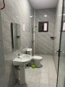 a bathroom with a sink and a toilet at Njai's Apartments A in Brusubi +12 photos