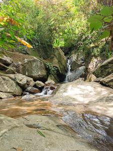 Ảnh trong thư viện ảnh của Yarumito Finca Hotel l Cabaña Lirio ở Barbosa