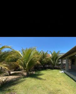 ein Hof mit Palmen vor einem Haus in der Unterkunft casa do conde in Luis Correia