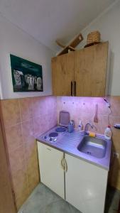 eine Küche mit Spüle und Arbeitsplatte in der Unterkunft Apartments Hamidović in Tuzla + 10 Fotos
