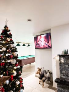 a dog standing next to a christmas tree in a living room at Willa Chrycówka - Jacuzzi, Basen, Sauna in Kościelisko