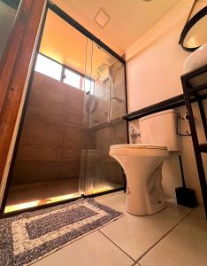 a bathroom with a shower with a toilet and a glass door at Chalé Henri Salvador na Vinícola Reconvexo in Morro do Chapéu