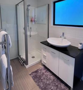 a bathroom with a sink and a shower and a tv at The Aotearoa Room in Auckland
