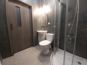 a bathroom with a toilet and a walk in shower at 1130 Wojciechowskiego 6A - Tanie Pokoje w Apartamencie - samodzielne zameldowanie in Poznań