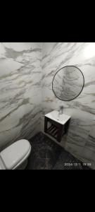 a bathroom with a toilet and a mirror at Poyecto Laguna in San Miguel del Monte