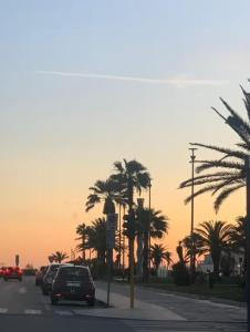 una strada con auto parcheggiate su una strada con palme di La casa di Ely a Viareggio