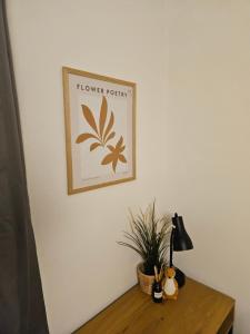 Fotografie z fotogalerie ubytování Downtown Gem Rooms v Budapešti