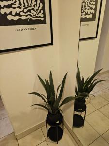 Fotografie z fotogalerie ubytování Downtown Gem Rooms v Budapešti