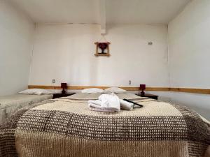 Postel nebo postele na pokoji v ubytování cabañas y hotel antiñanco