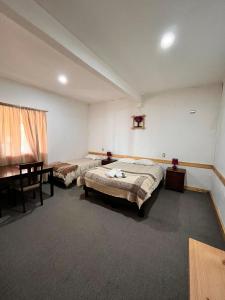Postel nebo postele na pokoji v ubytování cabañas y hotel antiñanco