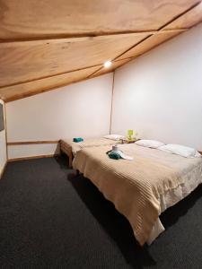 Postel nebo postele na pokoji v ubytování cabañas y hotel antiñanco