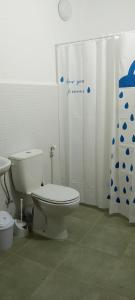 a bathroom with a toilet and a shower curtain at Tildi surf house in Imsouane +64 photos