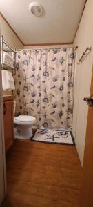a bathroom with a toilet and a shower curtain at The Lake House in Hillsboro