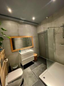 a bathroom with a toilet and a sink and a shower at Great room in cool house in York +8 photos