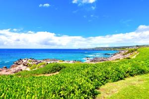 卡普鲁亚KBM Resorts FREE CAR Kapalua Bay Villa Oceanfront 1-Bedroom Condo with Amazing views KBV-30G2的海角景公寓
