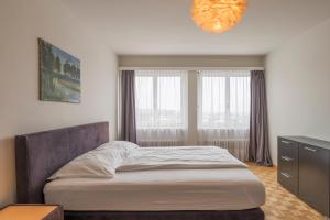 Postel nebo postele na pokoji v ubytování Amanthos Living Solothurn