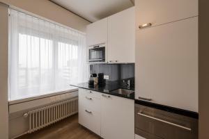 Kuchyň nebo kuchyňský kout v ubytování Amanthos Living Solothurn