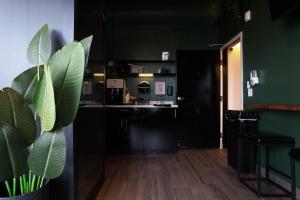a kitchen with black cabinets and a green wall at Chapter San Francisco in San Francisco