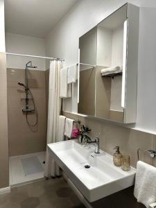a bathroom with a sink and a shower and a mirror at Cotton House in Novi Vinodolski