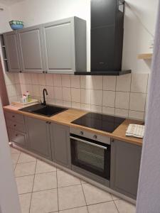Kuchnia lub aneks kuchenny w obiekcie Apartments by the sea Tkon, Pasman - 5840