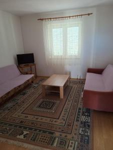 salon ze stolikiem kawowym i kanapą w obiekcie Apartments by the sea Tkon, Pasman - 5840 w mieście Tkon