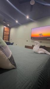 a bedroom with a large bed with a television on the wall at Estudio Centrico Tulum in Tulum