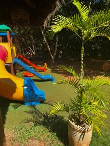 a playground with slides and a palm plant in a pot at Águas da Serra - Apto 2qts in Rio Quente