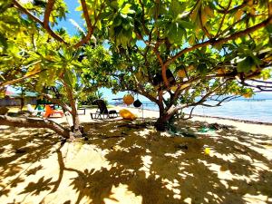 Fotografie z fotogalerie ubytování MOOREA - Manihini Beach Fare v destinaci Maatea