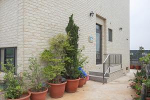 a group of potted plants in front of a building at 98Guesthouse in Jincheng