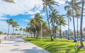 a path through a park with palm trees at Rock Apartments by Lowkl in Miami Beach