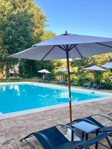 Bazén v ubytování Agriturismo Podere La Fornace nebo v jeho okolí