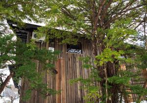 a wooden building with a tree in front of it at 白馬の黒馬　DarkHorse @Hakuba in Hakuba