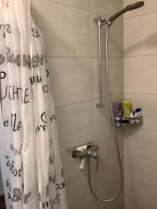 un bagno con doccia con tenda da doccia di Chambre spacieuse, lumineuse et reposante a Oetwil an der Limmat