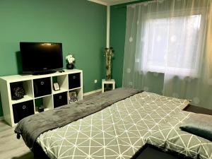 a bedroom with a bed and a flat screen tv at Appartement 3 - geräumige Wohnung mit eigener Küche, Bad und Gartenblick in Salzgitter