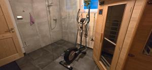 Fitness centrum a/nebo fitness zařízení v ubytování Haus Auszeit + 37 fotografií