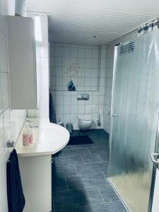 a bathroom with a shower and a sink and a toilet at Appartement 3 - geräumige Wohnung mit eigener Küche, Bad und Gartenblick in Salzgitter +7 photos