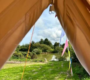 Lakeside Glamping Firecrest外面的花园