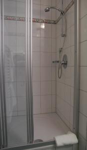 prysznic ze szklanymi drzwiami w łazience w obiekcie Appartment Danterhof w Mayrhofen