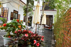 Gallery image of Blue Lake Homestay in Hoi An