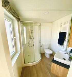 a bathroom with a shower and a toilet and a sink at Sommer Chalet 25 in Nabburg