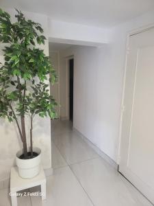 Fotografie z fotogalerie ubytování Chambre privée chez l'habitant v destinaci Longvic