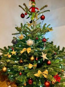 a christmas tree with christmas decorations on it at Orchard Lodge -Coastal Retreat, new build, village views, private garden and terrace in Saint Brides Major