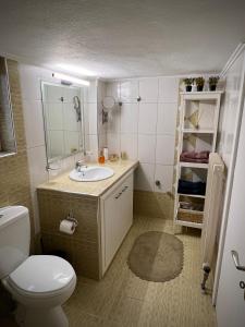 un baño con inodoro y lavabo en 19 Αri, en Tríkala 23 fotos más